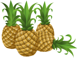pineapples-576576_640